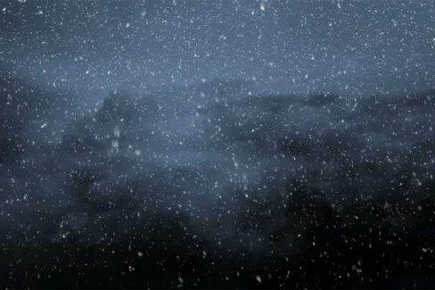 فوتیج بارش برف